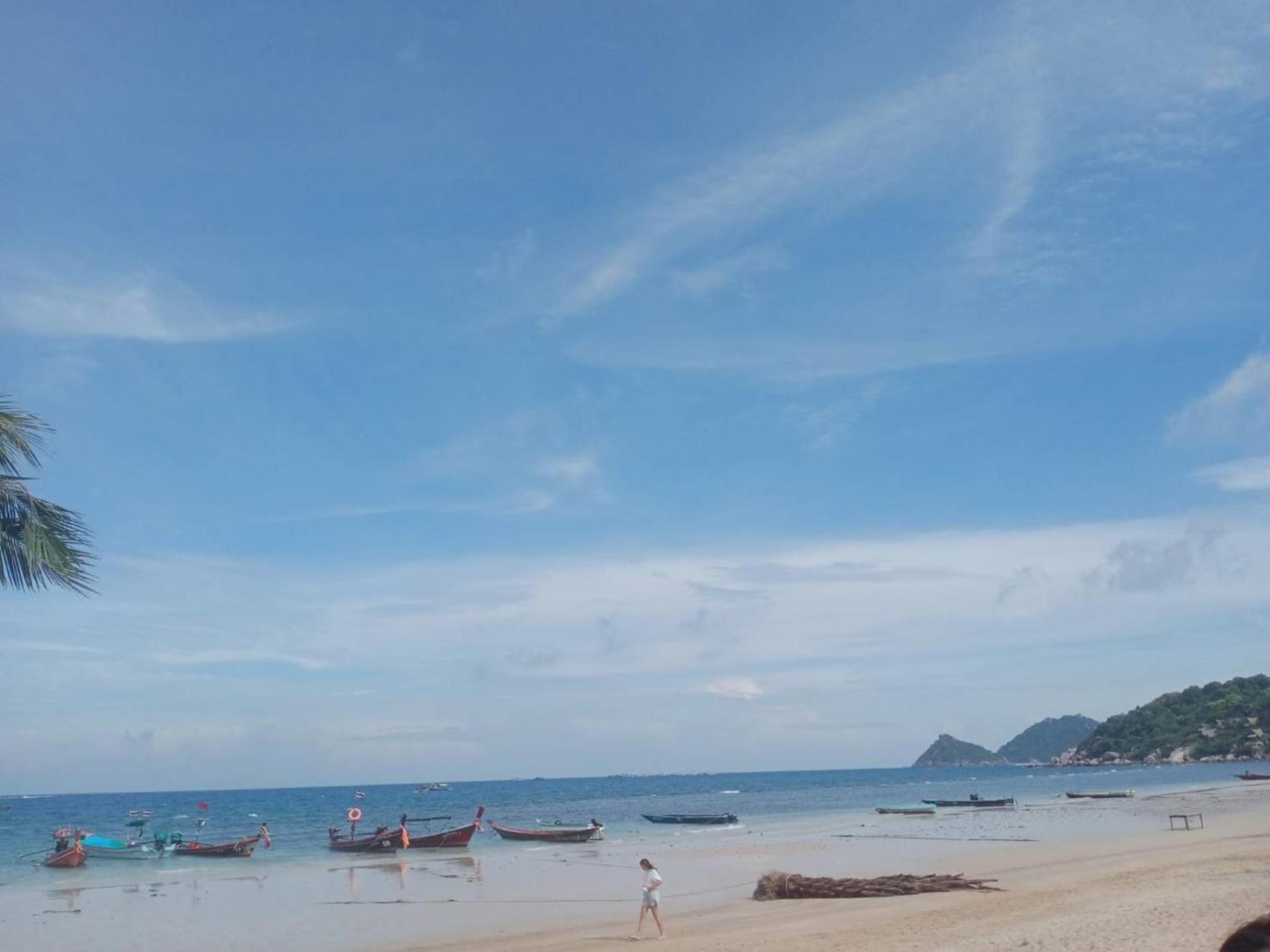 Lotus Hostel Beach Koh Tao Eksteriør billede